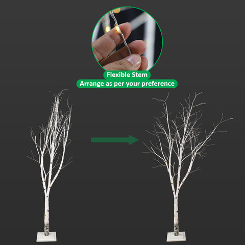 White Lighted Birch Tree