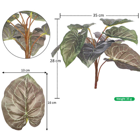 Decorative alocasia leaves