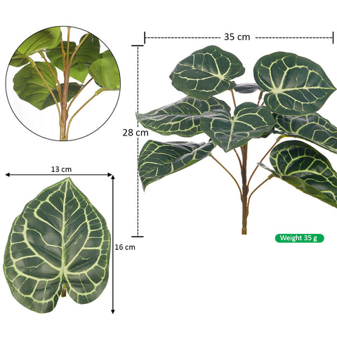 Alocasia leaves