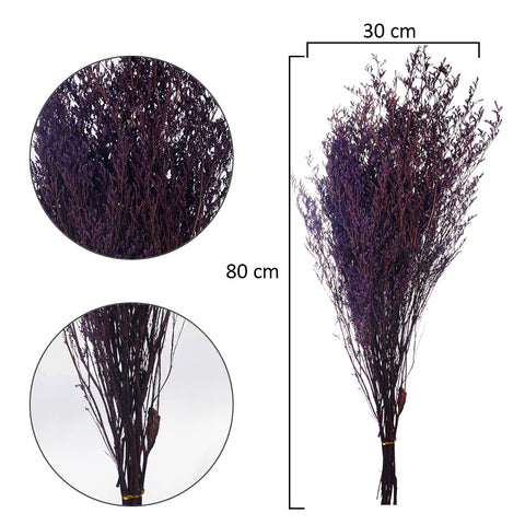 Natural Dried Caspia Bunch