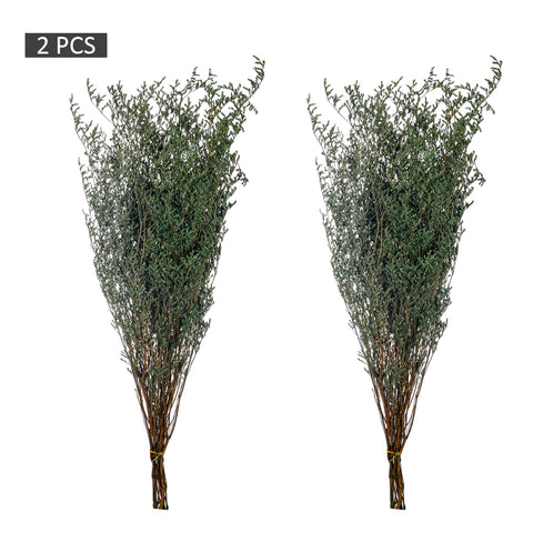2bunches Dried Caspia Flower(without vase)
