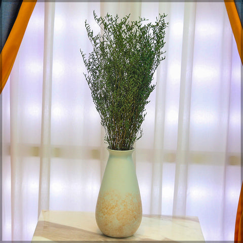 2bunches Dried Caspia Flower(without vase)