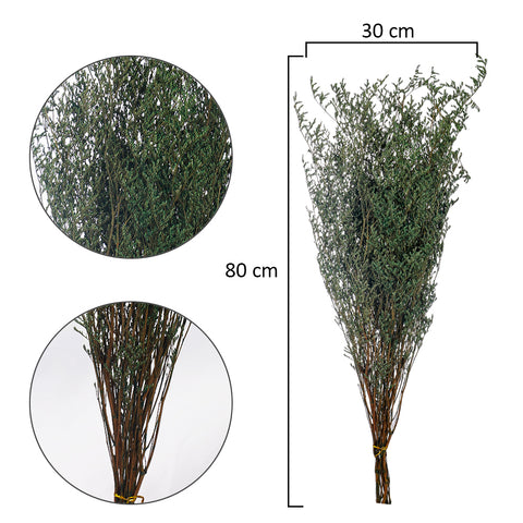 2bunches Dried Caspia Flower(without vase)
