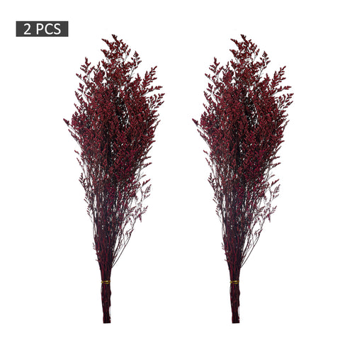 2bunches Dried Caspia Flower(without vase)