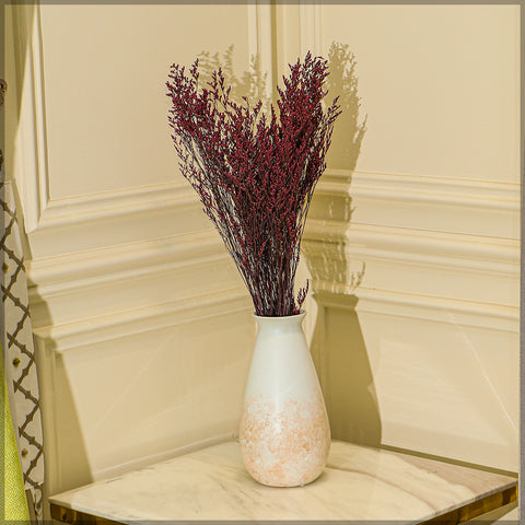 2bunches Dried Caspia Flower(without vase)