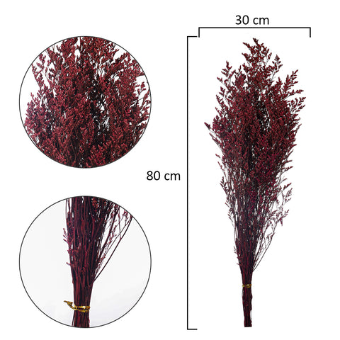 2bunches Dried Caspia Flower(without vase)