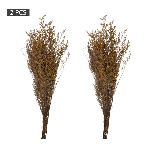 2bunches Dried Caspia Flower(without vase)