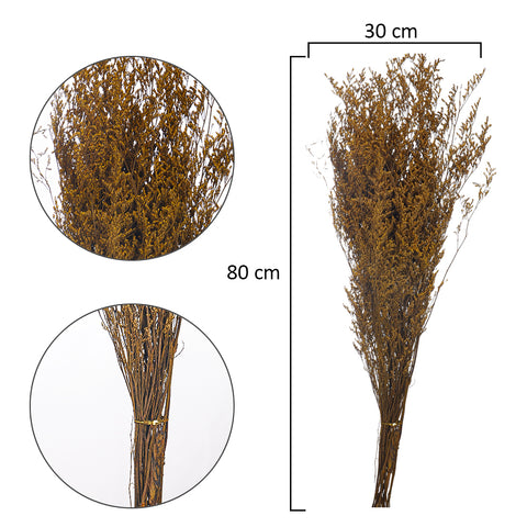 2bunches Dried Caspia Flower(without vase)