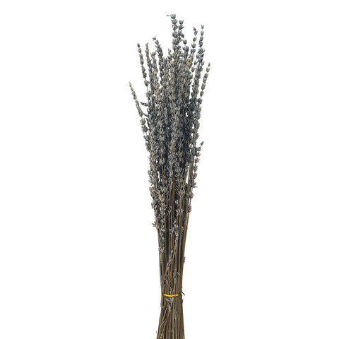 dried lavender flowers