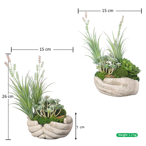 Table succulent arrangement