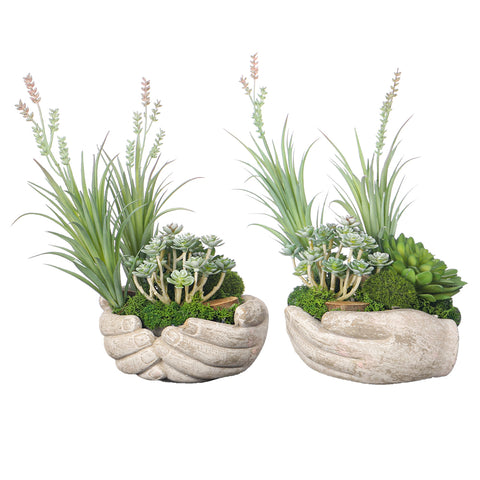 Succulent decor