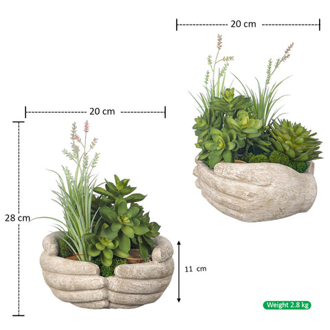 Indoor succulent decor