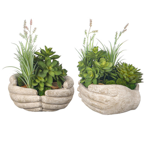 Succulent centerpiece
