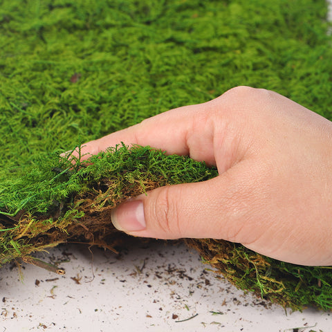 flexible craft moss sheet