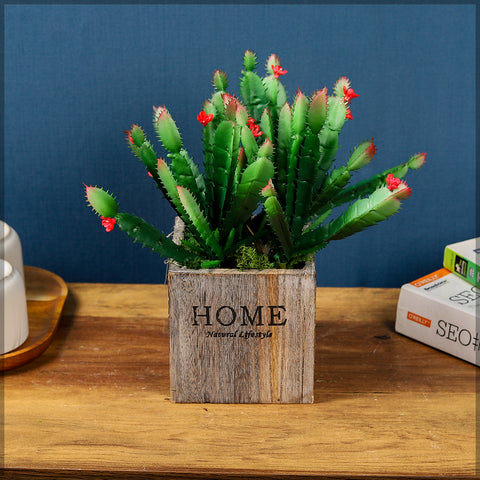 Single Mini Artificial Cactus(without vase)