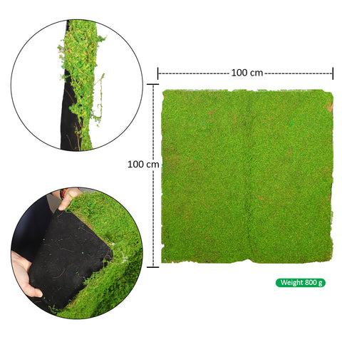 Artificial Moss Grass Mat