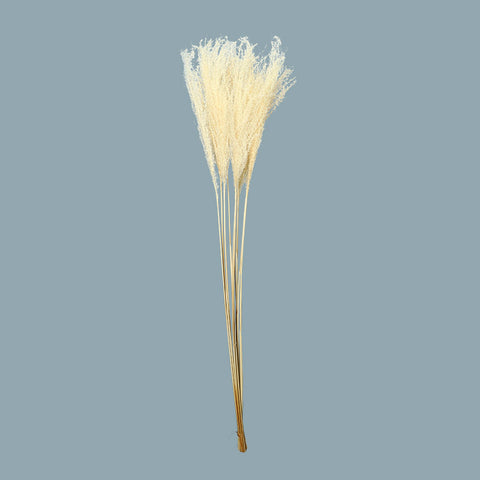 Pampas Flower Arrangement