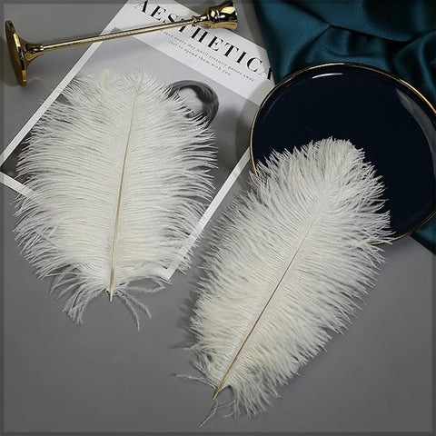 soft natural feather