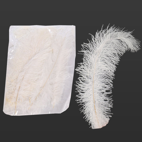 natural white ostrich feather