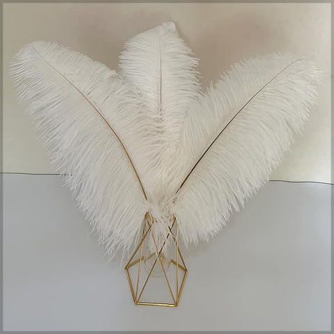 Natural White Ostrich Feather