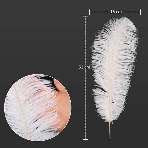 decorative white feather