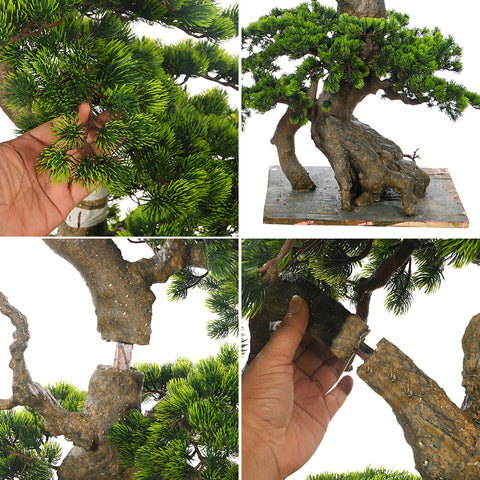 Artificial Pine Bonsai Plant 185cm Tall