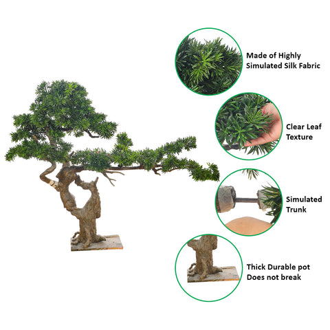 Artificial Podocarpus Bonsai Plant 130cm Tall