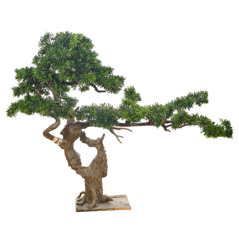 Artificial Podocarpus Bonsai Plant 130cm Tall