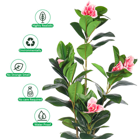 Decorative Magnolia Tree