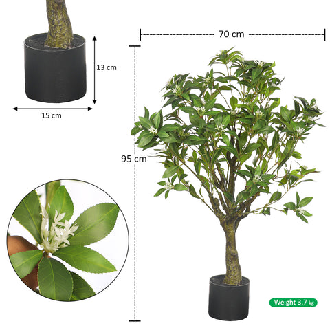 Japanese Plant