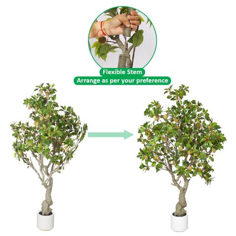 Kiwi plant decor