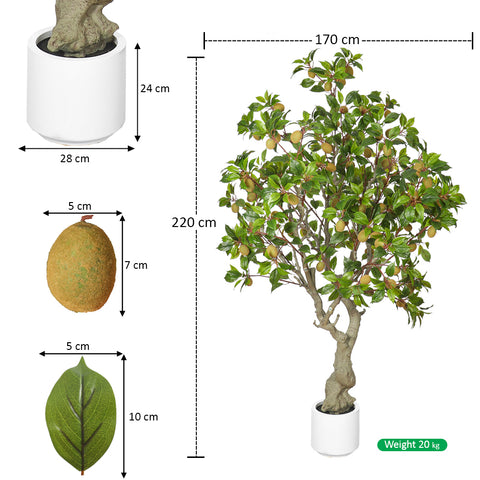 Tall indoor plant