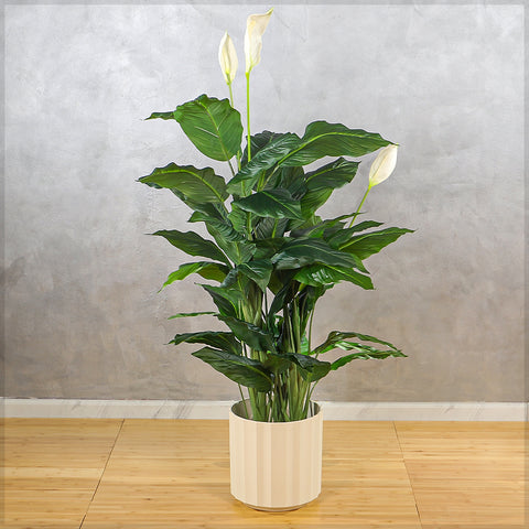 Cream Segmented Plant Pot for Modern Decor