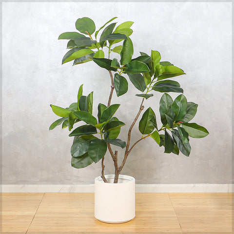 Fake Ficus Tree