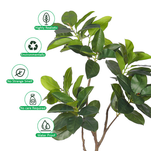 Realistic Ficus Plant