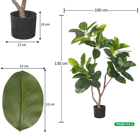 Decorative Indoor Ficus Tree