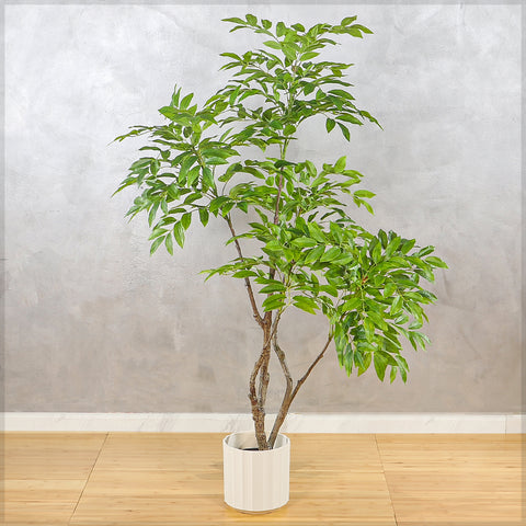 Faux Siberian Elm Plant