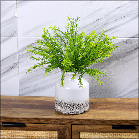 Rosemary plant bunch