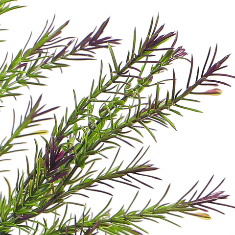 Artificial herb bunch