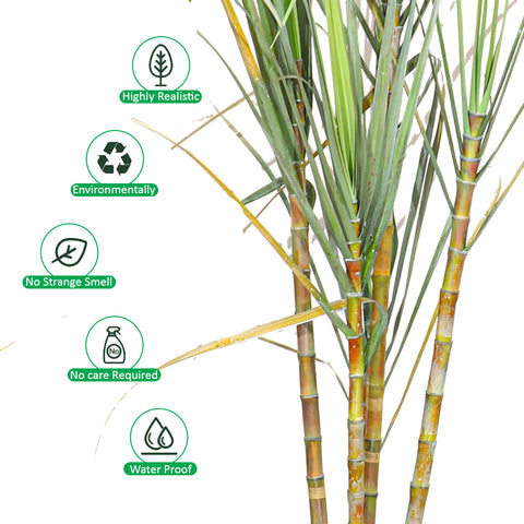 Saccharum Officinarum Sugarcane Artificial Plant