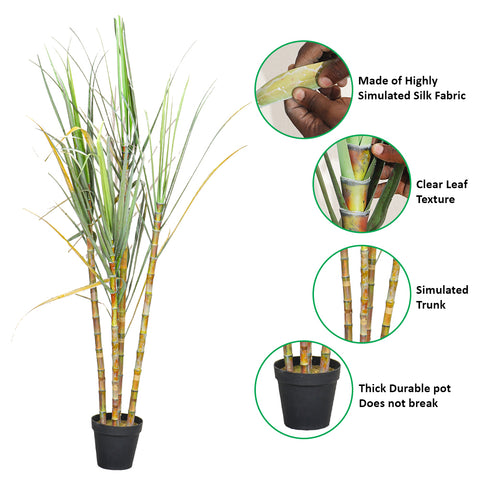 Saccharum Officinarum Sugarcane Artificial Plant