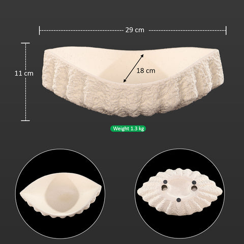 Shell-Like Shaped Ceramic Vase
