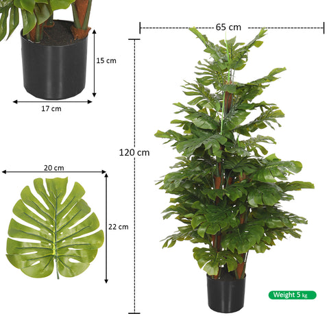 indoor decorative plant