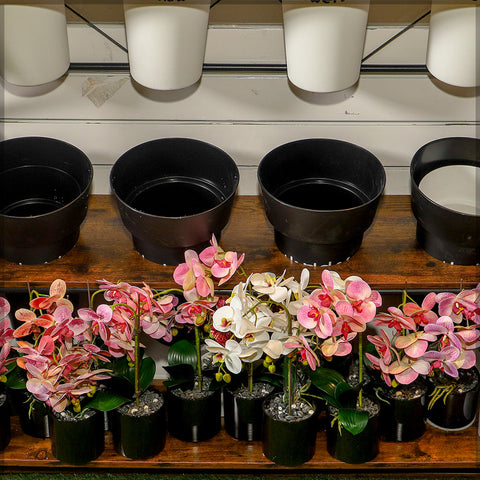 plant stand