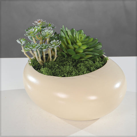 Oval Shaped Cream Ceramic Planter