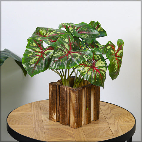 Single Bunch Artificial Caladium Bush(without vase)
