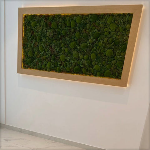 Tranquil Forest Canopy A Mossy Canvas for display purposes only (non-sale)