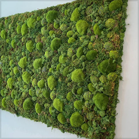 Vertical Moss Wall Art for Modern Interiors for display purposes only (non-sale)