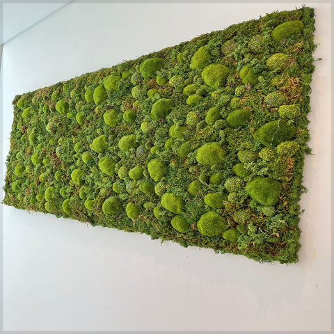 Vertical Moss Wall Art for Modern Interiors for display purposes only (non-sale)