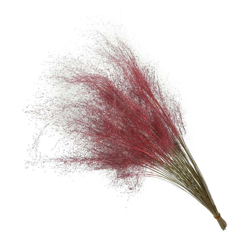 Decorative dried grass for home interiors